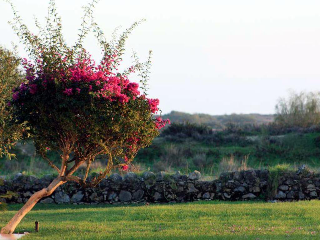 Golden Club Cabanas Cabanas De Tavira Dış mekan fotoğraf